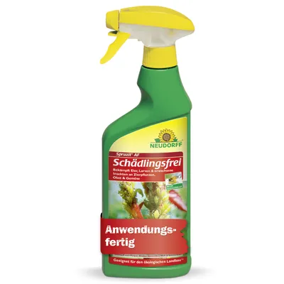 Produktbild von Neudorff Spruzit AF Schädlingsfrei 500ml Spray gegen Schildläuse Blattlaus Zikaden Läuse und Schadraupen