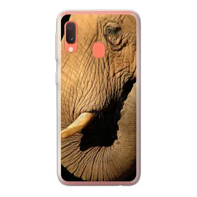 Produktbild von MuchoWow® Handyhülle Schutzhülle Hülle für Samsung Galaxy A20e Elefant - Tiere - Nahaufnahme - Schwarz Silikon Softcase Handy Hülle - Abdeckung
