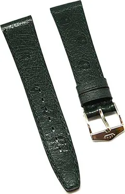 Produktbild von Uhrenarmband FORTIS LEDER grün Ton in Ton 14mm NEU