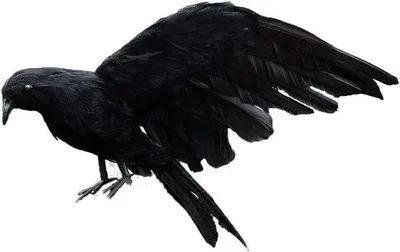 Obrázok produktu pre Čierna, veľká, realistická, ručne vyrobená sova, vhodná ako vonkajšia dekorácia do záhrady alebo na terasu (15 cm), ideálna na Halloween
