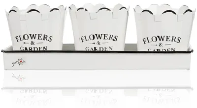 Produktbild von FLOWERS & GARDEN Set aus 3 Übertöpfen und einer Schale aus Metall