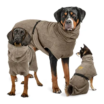 Produktbild von RUDELKÖNIG Hundebademantel Grau M – Saugstarker Trockenmantel aus 100 % Baumwolle für Hunde