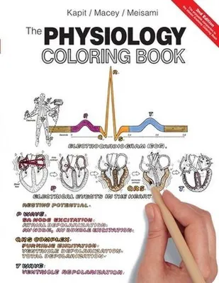 Obrázek produktu pro Physiology Coloring Book, The