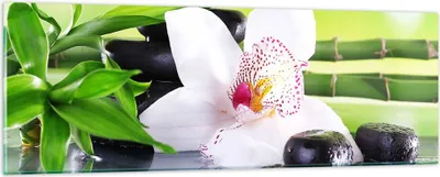 Produktbild von Bilder auf glas - blume orchidee - 90x30cm - Glasbilder - Wandbilder - Kunstdruck - zum Aufhängen bereit - Wanddekoration aus Glas - Glas Bilder - Wandbild auf Glas - Einteilig - GAB90x30-3659