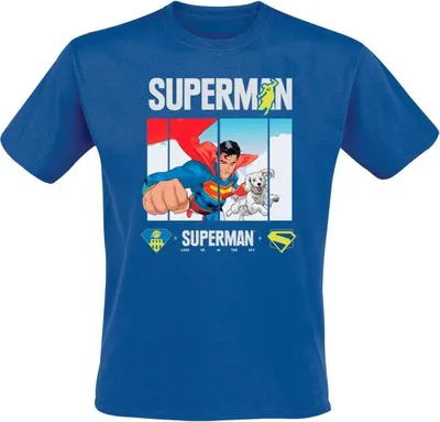 Produktbild von Superman T-Shirt Herren 2025 - Superman Look Up blau M