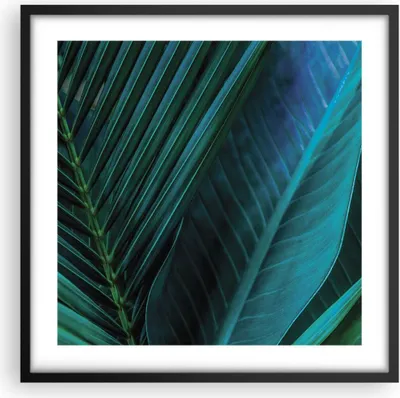 Produktbild von Gerahmtes Poster - Schwarzer Rahmen - Blatt Tropen Grün - 50x50 cm - Wand Bild - Wanddeko - Wandbilder - Kunstposter - Wandposter - Bilderrahmen - Bilder - Kunstdruck - P2BAC50x50-5071