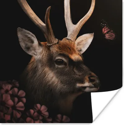 Produktbild von MuchoWow® Poster Tiere - Hirsche - Dschungel 75x75 cm - Wand Dekoration