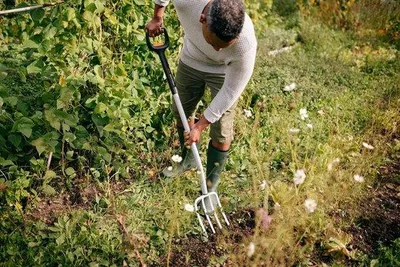 Image de Outil de jardinage - pliable - pour le jardin