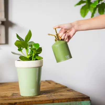 Obrázok produktu pre Esschert Design Rozprašovač na rastliny zo série Grüntöne s pozlátenou plastovou rukoväťou, rôzne odtiene zelenej, svetlozelená/zelená/tmavozelená, výber farieb nie je m