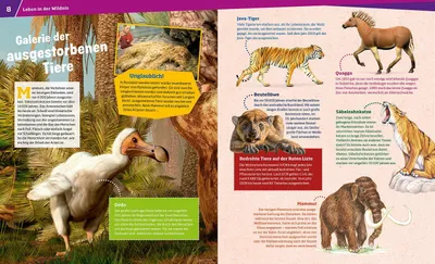 Produktbild von Wilde Tiere. Ungezähmt in der Wildnis