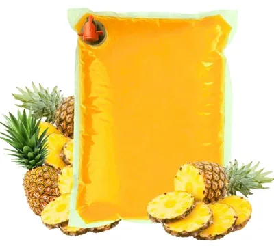 Image de Sadvit Ananas Tropical 100% – 5000 ml