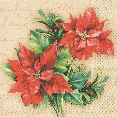 Produktbild von 20 Servietten Christmas Flower 33x33cm