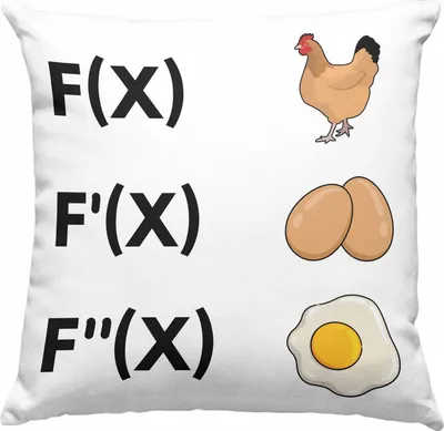 Produktbild von Trendation - Mathematik Lehrer Deko-Kissen mit Füllung 40x40 Ableitung Lustiges Mathe Geschenk Mathelehrer (Grau)