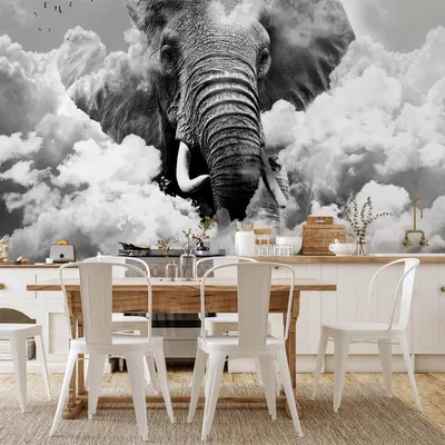 Produktbild von Vlies Fototapete - Elephant in the Clouds (Black and White) 250x175 cm Tiere g-C-0087-a-c