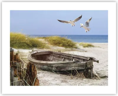 Produktbild von Poster - Poster ohne Rahmen - Strand Möwen £ódŸ - 50x40 cm - Wand Bild - Wanddeko - Wandbilder - Kunstposter - Wandposter - Bilder - Kunstdruck - Wanddekoration - Wandbild - P2XAA50x40-4170