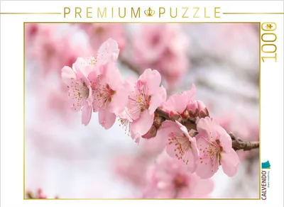 Produktbild von CALVENDO Puzzle Blüten | 1000 Teile Lege-Größe 64x48cm Foto-Puzzle für glückliche Stunden