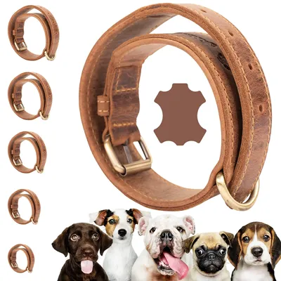 Image de Collier robuste en cuir de vache pour chiens de grande taille