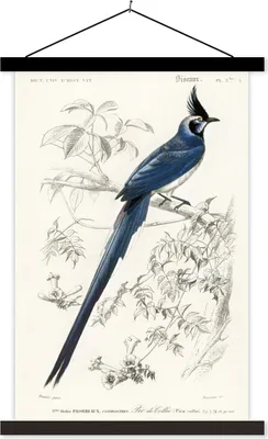 Produktbild von MuchoWow® Textilposter Vogel - Vintage - Zweig 120x180 cm mit schwarzem Rahmen - Fotos