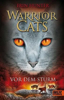 Produktbild von Warrior Cats Staffel 1/04. Vor dem Sturm