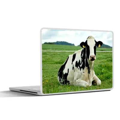 Produktbild von MuchoWow® Laptop Aufkleber Sticker Cover Kuh - Tier - Friesland 36.5x27.5 cm - Laptop-Sticker