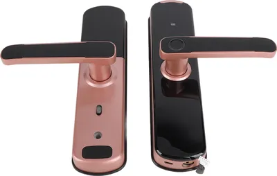 Image de Serrure de porte numérique, serrure de porte à carte, serrure intelligente, poignée de porte à empreinte digitale, serrure intelligente, dispositif de sécurité domestique
