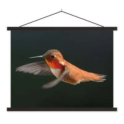 Produktbild von MuchoWow® Textilposter Kolibri - Federn - Schwarz 150x113 cm mit schwarzem Rahmen - Wohnzimmer