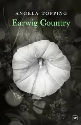 Produktbild von Earwig Country