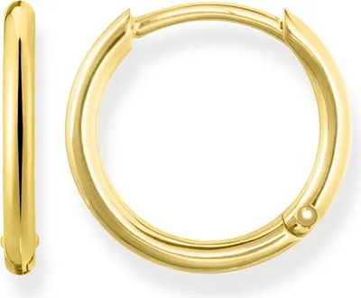 A pair of gold hoop earrings on a white background.