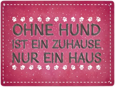 Produktbild von Ohne Hund ist ein Zuhause nur ein Haus Metallschild XXL
