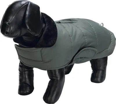 Image de Designed by Lotte manteau pour chien Zhanti, couleur:vert, taille:52 cm