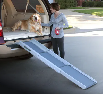 Produktbild von dogwalk Tri-Scope Rampe 170 cm Aluminium grau