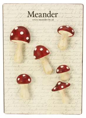 Imagen del producto de Conjunto de 6 setas magnéticas "Meander", 5 cm