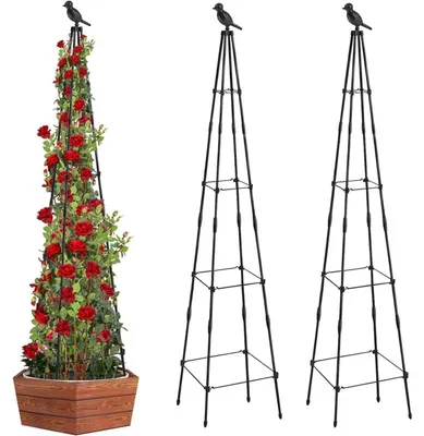 Zdjęcie produktu dla Podpory do roślin Obelisk, 165 cm, metalowe, do roślin pnących, róż, kwiatów, jeżyn, zestaw 2 sztuk