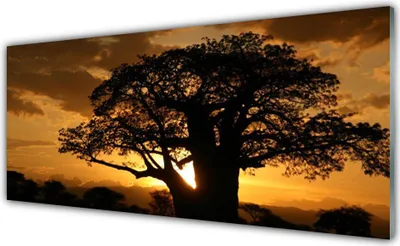 Produktbild von Acrylglasbilder 125x50 Wandbild Druck Baum Natur