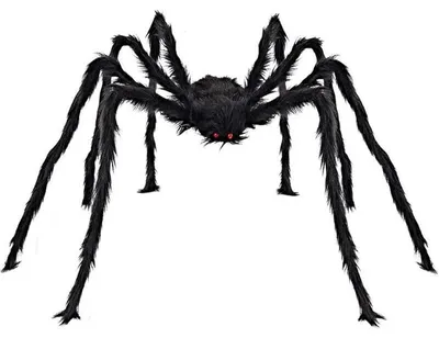 Image de Verk 26035 Spider géant 90 cm, noir
