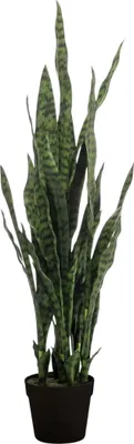 Produktbild von Emerald Künstliche Pflanze Sanseveria im Topf 84 cm