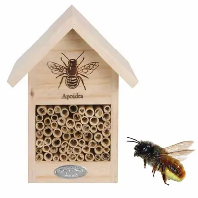 Immagine prodotto di Casa delle api di Esschert Design con sagoma; WA38