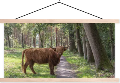 Produktbild von MuchoWow® Textilposter Schottisches Hochlandrind - Kröte - Baum 120x60 cm mit holzfarbenen Rahmen - Klemmleiste