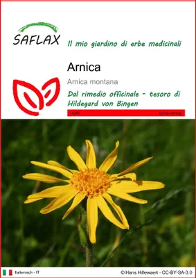 Immagine prodotto di SAFLAX  - Arnica  - 40 semi - Arnica