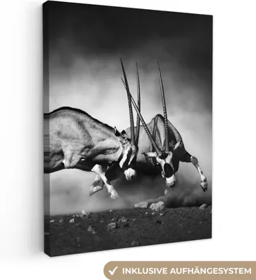 Produktbild von MuchoWow® - Leinwandbilder - Antilope - Schwarz und weiß - Porträt - Wildtiere - Tiere, Wandbild, Wanddeko Bilder Wohnzimmer, 90x120 cm