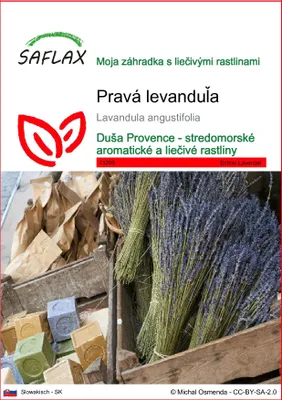 Obrázok produktu pre SAFLAX - pravá levanduľa - Lavandula angustifolia - 150 Semená