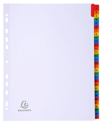 Immagine prodotto di Registro Exacompta 4131E DIN A4 Maxi 31 schede 1-31 Cartone bianco 160g/mq