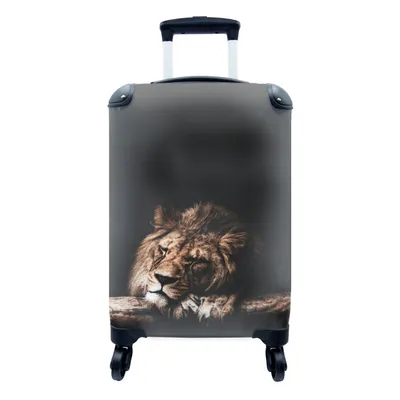 Obrázek produktu pro Kufr Příruční zavazadlo na kolečkách Malý cestovní kufr na 4 kolečkách Lev - Kufr - Barvy - Velikost kabiny < 55x40x23 cm a 55x40x20 cm - Fotobrašna -