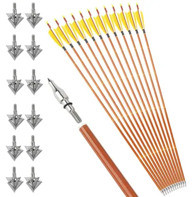 Obrázek produktu pro Šípy pro lukostřelbu, karbonové, 12 kusů, odolná konstrukce, žluté