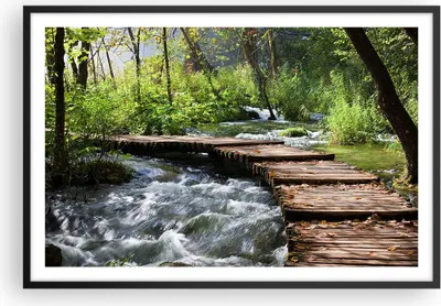 Produktbild von Gerahmtes Poster - Schwarzer Rahmen - Park natur grün bäume - 91,5x61 cm - Wand Bild - Wanddeko - Wandbilder - Kunstposter - Wandposter - Bilderrahmen - Bilder - Kunstdruck - Wandbild P2BAA91x61-0356