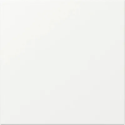 Image de Bascule Gira, droite, blanc pur, système 55, m, 1 pièce.