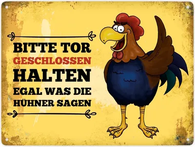 Produktbild von Bitte Tor geschlossen halten egal was die Hühner sagen Metallschild XXL mit