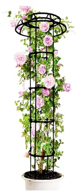 Produktbild von Garten-Obelisken Spalier - Pilzförmige Pflanzenstütze | Windstabiles Rankgitter für Gurken, Bohnen, Rosen, Weinreben, Zucchini und Efeu – Stabiler Halt für Kletterpflanzen im Freien