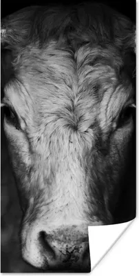 Produktbild von MuchoWow® Poster Tiere - Kuh - Schwarz - Weiß - Kuhkopf 60x120 cm - Wandschmuck