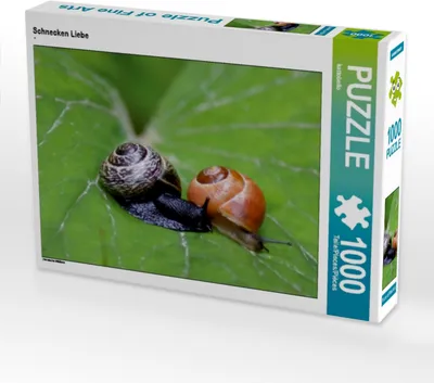 Produktbild von Calvendo Schnecken Liebe 1000 Teile Puzzle quer 640x480mm, CALVENDO; 7304368